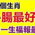 心腸最好，這三個生肖一生福報最多，尤其是12月！