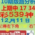 [今彩539神算] 12月11日 上期中17 34 2支 10期版路分析