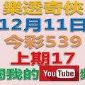 樂透奇俠-12月11日今彩539號碼預測-上期中17