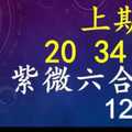 紫微六合彩 12月16日 上期中20 34 35 單號定位,雙號拖牌版路獨家大公開