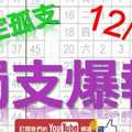 12月21日 六合彩爆報 獨支爆報 鎖定孤支 版路