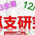 12月21日 六合彩研究院 上期中33獨支全車 孤支研究 潛心鑽研 版路