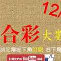 六合彩大數據 12月28日 完美4星大數據版路公開