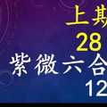 紫微六合彩 12月28日 上期中28 30 單號定位,雙號拖牌版路獨家大公開