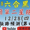 [二星拖牌]六合彩黑貓(12月28號)六合彩預測版路(第四版)