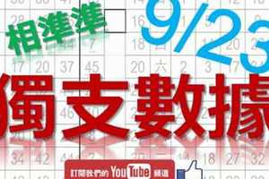 六合彩大數據 9月23日 獨支數據 相準準 版路