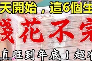 今天開始，這6個生肖意外之財進口袋，錢花不完。一直旺到年底！