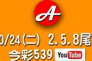 2017/10/24(二)今彩：2.5.8尾有機會?      祝進財