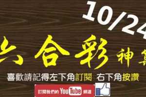 [六合彩神算] 10月24日 3支 單號定位 雙號 拖牌