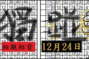 10月24日六合 1.2星 不定位獨碰-相親相愛