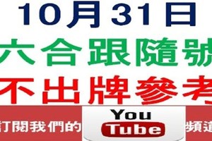 六合跟隨號-10月31日六合彩不出牌參考