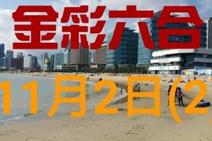 ◆金彩六合◆六合彩 11月2日加減連開孤支版路 （2）