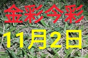 $金彩今彩$ 今彩539--11月2日加減版路號碼大公開