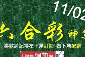 [六合彩神算] 11月2日 3支 單號定位 雙號 拖牌