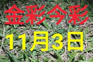 $金彩今彩$ 今彩539--11月3日加減版路號碼大公開