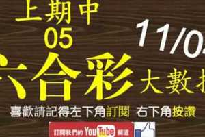 六合彩大數據 11月4日 上期中 05 3支 這期拚3支同開