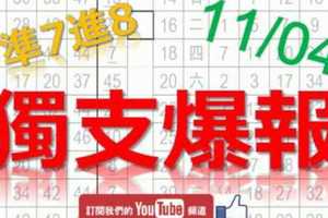 11月04日 六合彩爆報 獨支爆報 真正獨支 準7進8 版路