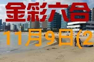 ◆金彩六合◆六合彩 11月9日加減連開孤支版路 （2）