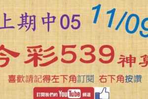 [今彩539神算] 11月9日 上期中05 5支 單號定位 雙號 拖牌