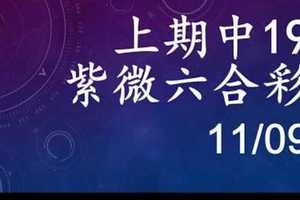 紫微六合彩 11月09日 上期中19 2中2獨碰版路 準3進4