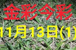 $金彩今彩$ 今彩539--11月13日加減版路號碼大公開(1)