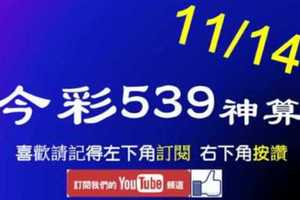 [今彩539神算] 11月14日 5支 單號定位 雙號 拖牌