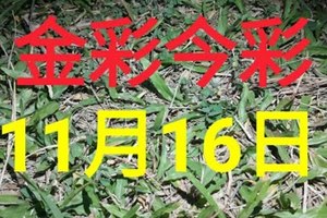 $金彩今彩$ 今彩539--11月16日加減版路號碼大公開