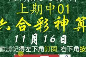 [六合彩神算] 11月16日 上期中01 獨支 10期版路分析