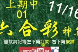 [六合彩神算] 11月16日 上期中01 3支 單號定位 雙號 拖牌