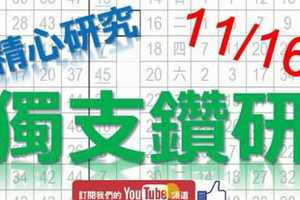 11月16日 六合彩研究院 獨支鑽研 精心研究 版路