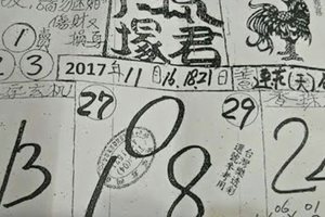 2017/11/16香港六合彩參考用全分享8