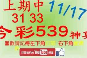 [今彩539神算] 11月17日 上期中31 33 5支 單號定位 雙號 拖牌