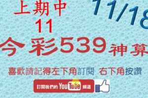 [今彩539神算] 11月18日 上期中11 4支 單號定位 雙號 拖牌