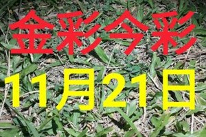 $金彩今彩$ 今彩539--11月21日加減版路號碼大公開