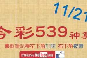 [今彩539神算] 11月21日 4支 單號定位 雙號 拖牌