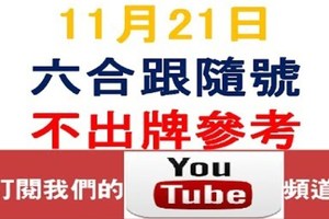 六合跟隨號-上期爆了-11月21日六合彩不出牌參考