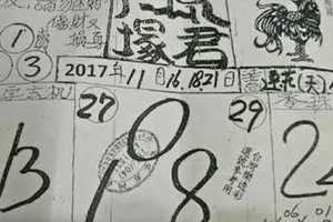 2017/11/21香港六合彩參考用全分享2