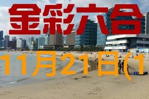 ◆金彩六合◆六合彩 11月21日加減連開孤支版路 （1）