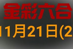 ◆金彩六合◆六合彩 11月21日連開孤支版路 （2）