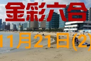 ◆金彩六合◆六合彩 11月21日加減連開孤支版路 （2）