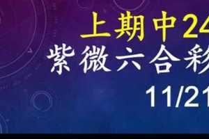 紫微六合彩 11月21日 上期中24 5尾3星版路獨家公開