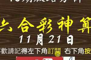 [六合彩神算] 11月21日 獨支 10期版路分析