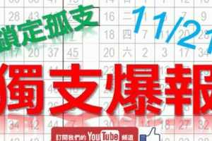 11月21日 六合彩爆報 獨支爆報 鎖定獨支 準5進6 版路