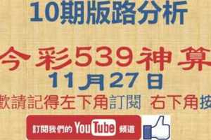 [今彩539神算] 11月27日 2支 10期版路分析