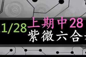 紫微六合彩 11月28日 上期中28 紫微3星獨碰版路顯露