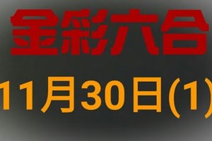 ◆金彩六合◆六合彩 11月30日連開孤支版路 （1）