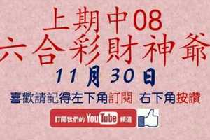 六合彩財神爺 11月30日 上期中08 財神揭露獨家版路公開