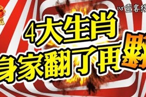 4大生肖，身家翻了再翻