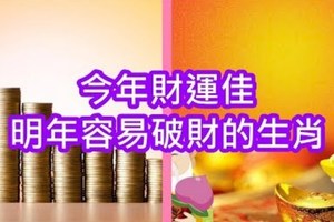 今年財運佳，明年容易破財的生肖