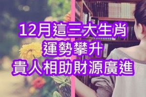 12月這三大生肖運勢攀升，貴人相助財源廣進